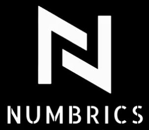 Numonics Logo Numbrics Tax Pro - Professional Tax Software for Tax Preparers